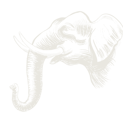 Illustration of elephant