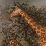 https://powell-cottonmuseum.org/wp-content/uploads/2021/05/Giraffe2-scaled.jpg