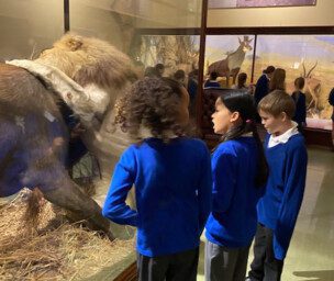 An image of school children wearing blue jumpers looking into display cases containing taxidermy specimens.