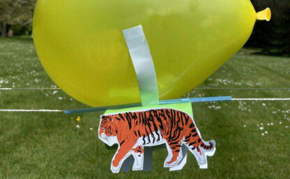 A yellow balloon with a drawing of a tiger attached with tape to the balloon with grass in the background.