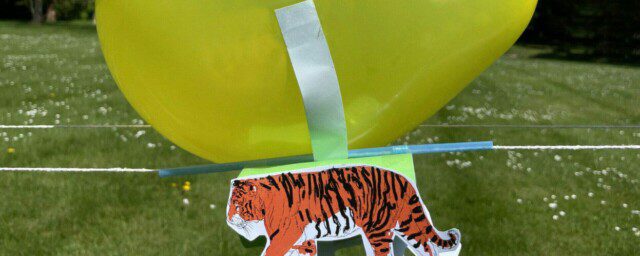 A yellow balloon with a drawing of a tiger attached with tape to the balloon with grass in the background.