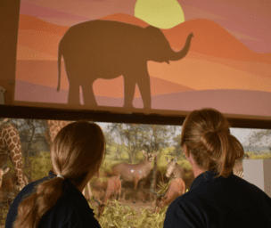Two fair haired women with their backs to the camera, both wearing navy polo shirts, are looking up at a silhouette of an elephant with mountains and a sunset in the background. Below the silhouette of the elephant are models of various African animals with a naturalistic background of African trees and foliage.