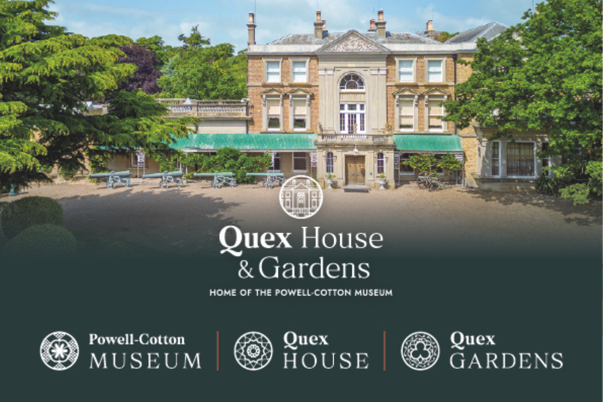 New look, new website