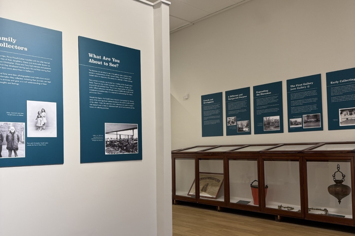 A fresh new welcome to the museum