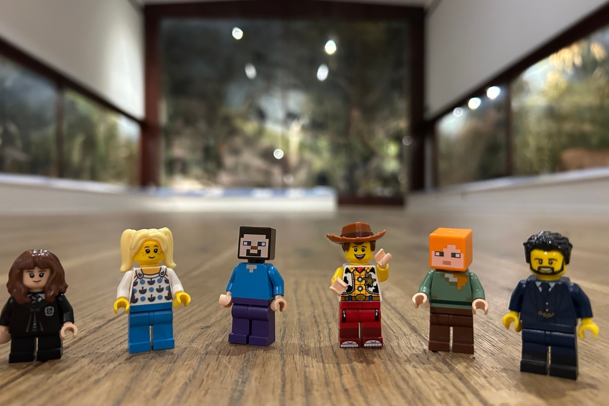 Bricktacular Adventures!