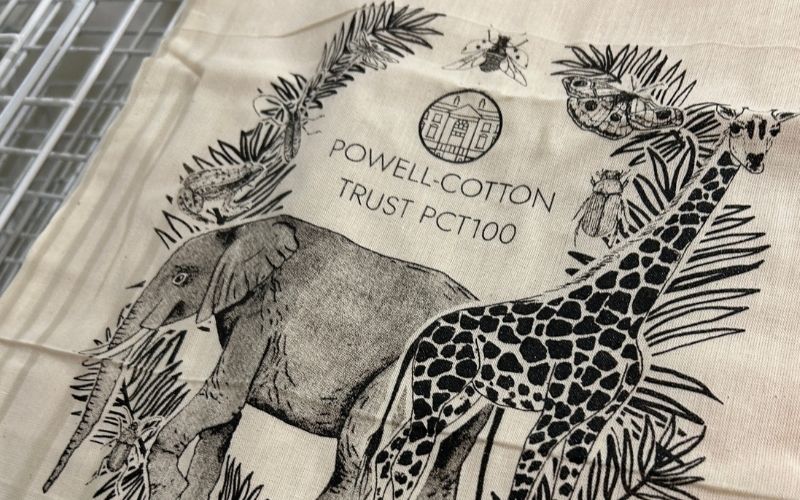Unlocking the Collections: Reflections on PCT100